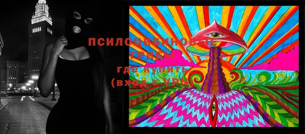 МДПВ Абдулино