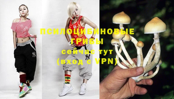 гидра Абаза