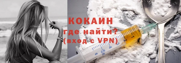 гидра Абаза